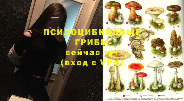 мдпв Новодвинск