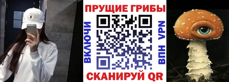 Галлюциногенные грибы ЛСД  Томск 