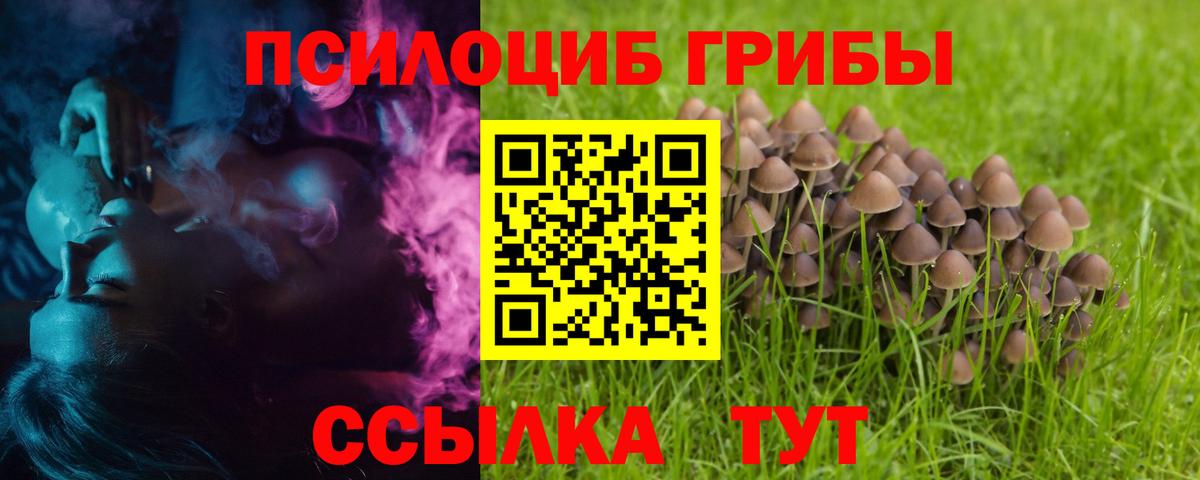 Псилоцибиновые грибы мицелий Томск