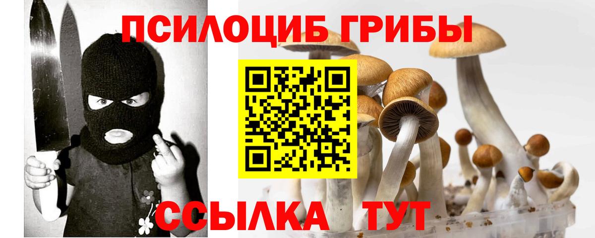 Томск  Галлюциногенные грибы прущие грибы  Галлюциногенные грибы MAGIC MUSHROOMS  Вход с VPN 